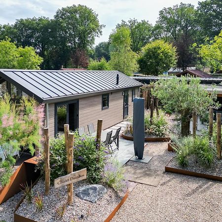 Modern Ingericht Chalet Op Groen Park Op De Veluwe Эпе Экстерьер фото
