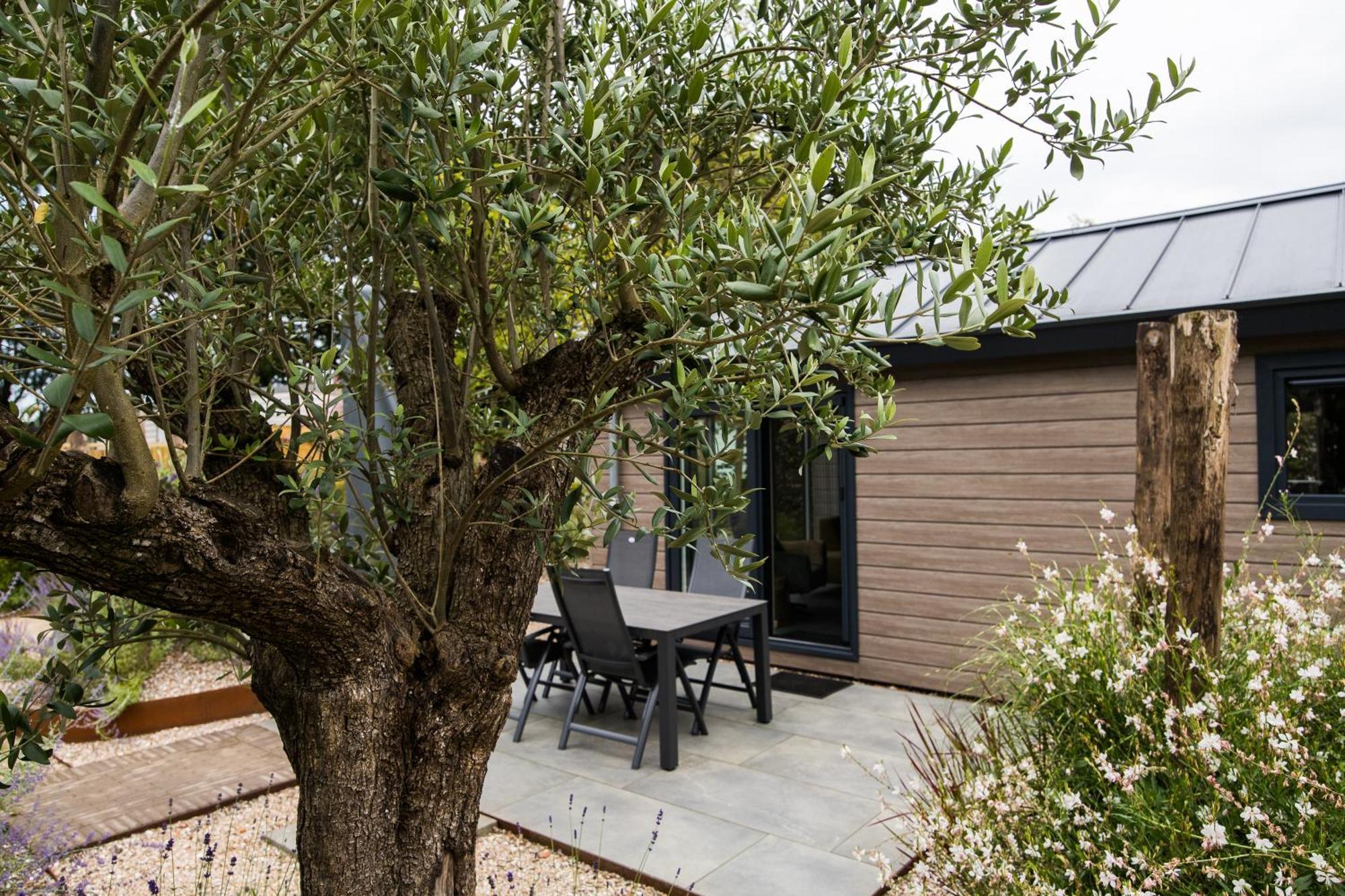 Modern Ingericht Chalet Op Groen Park Op De Veluwe Эпе Экстерьер фото