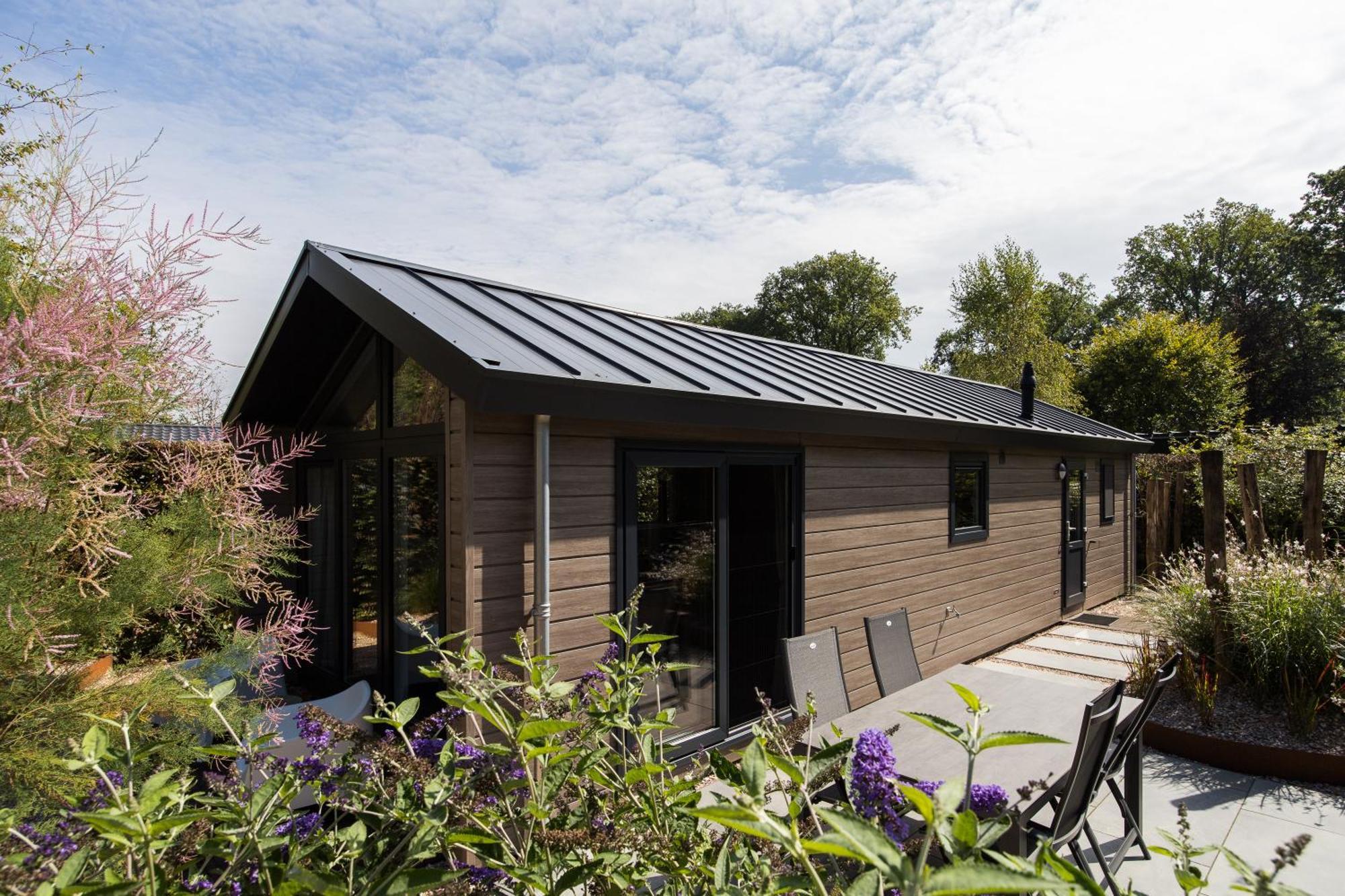 Modern Ingericht Chalet Op Groen Park Op De Veluwe Эпе Экстерьер фото
