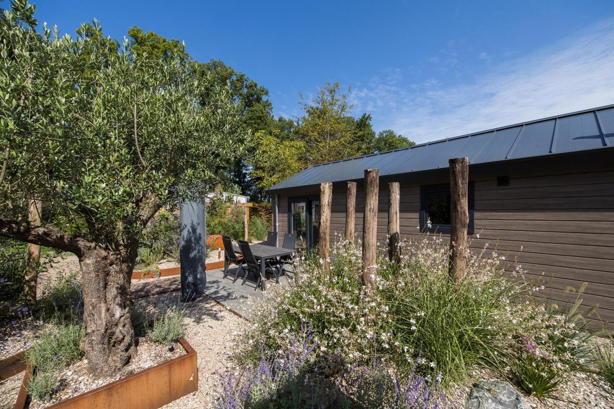 Modern Ingericht Chalet Op Groen Park Op De Veluwe Эпе Экстерьер фото