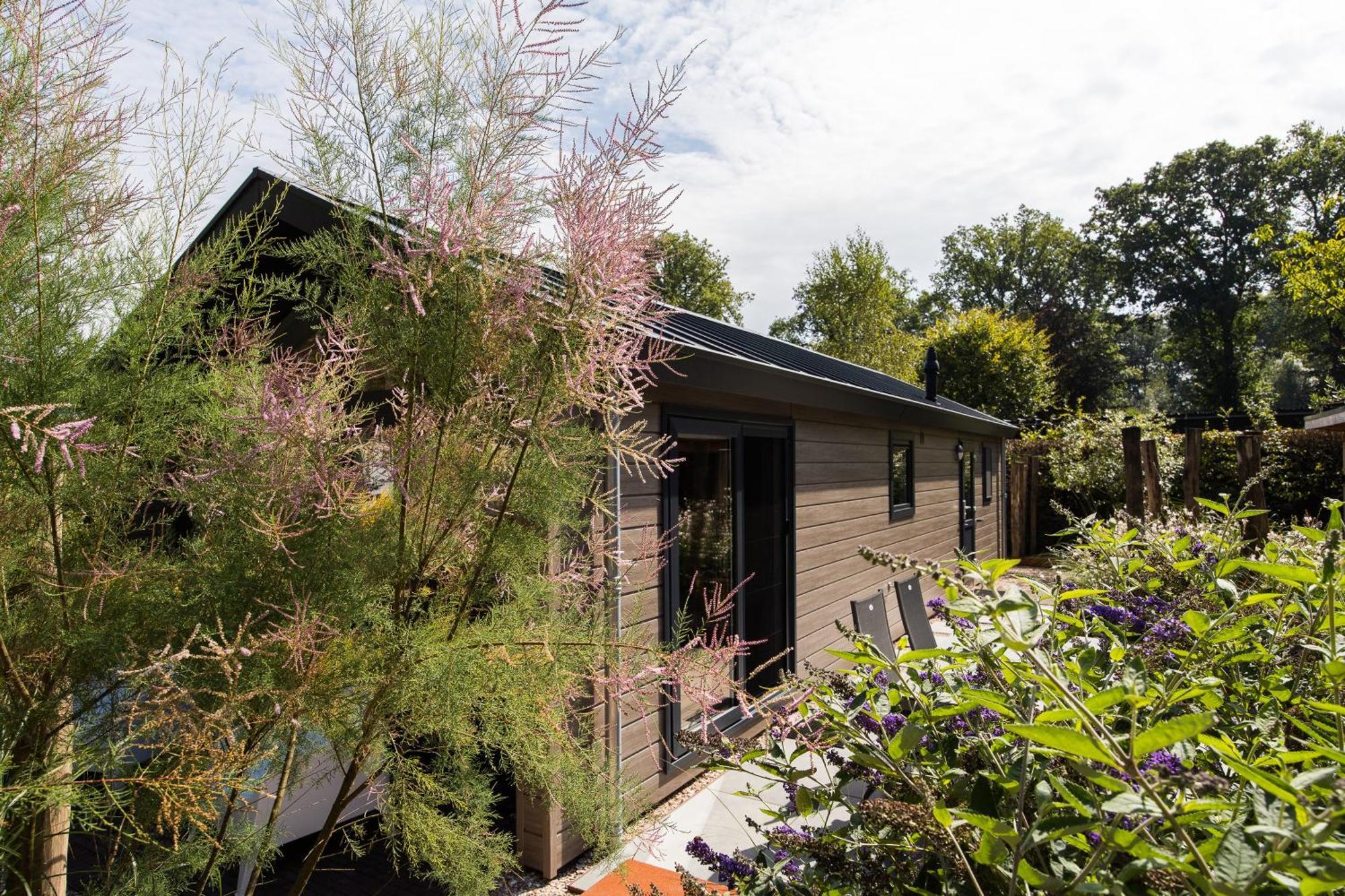 Modern Ingericht Chalet Op Groen Park Op De Veluwe Эпе Экстерьер фото